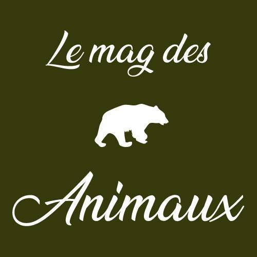 Le mag des Animaux logo