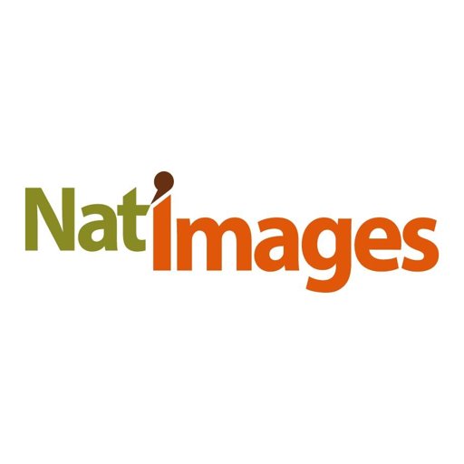 Natimages logo