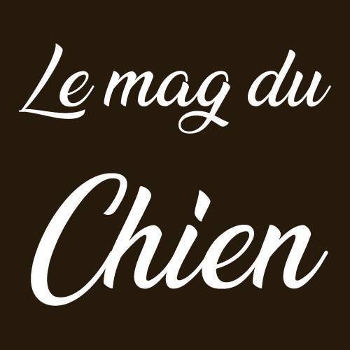 Le mag du Chien logo